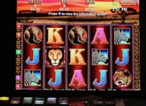 壹元娱乐官方网站正式版